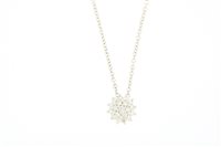 Necklace D'Arrigo Gioielli Woman in White Gold Diamante 0.28 Ct DAR0120
